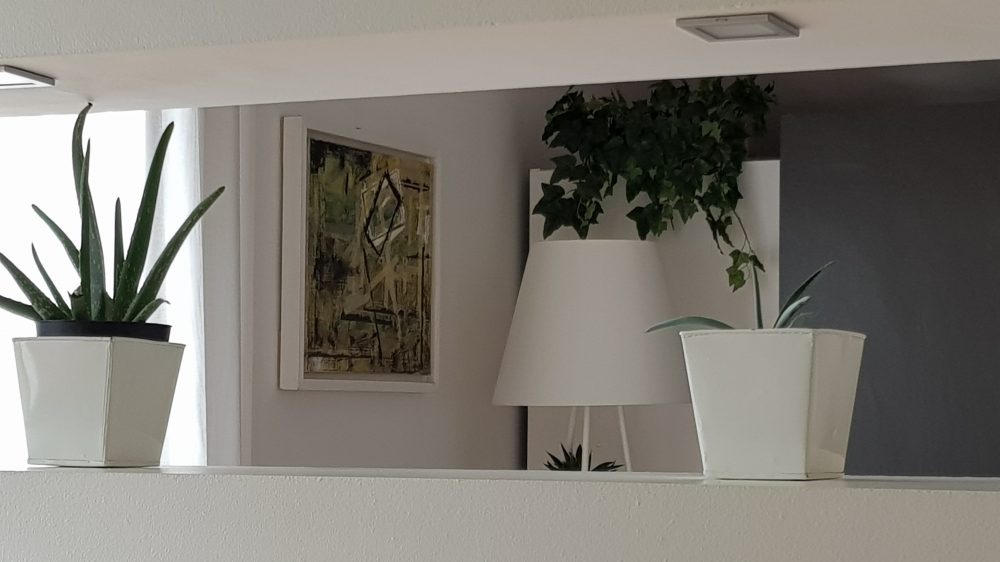 60×50 Tecnica mista su tela