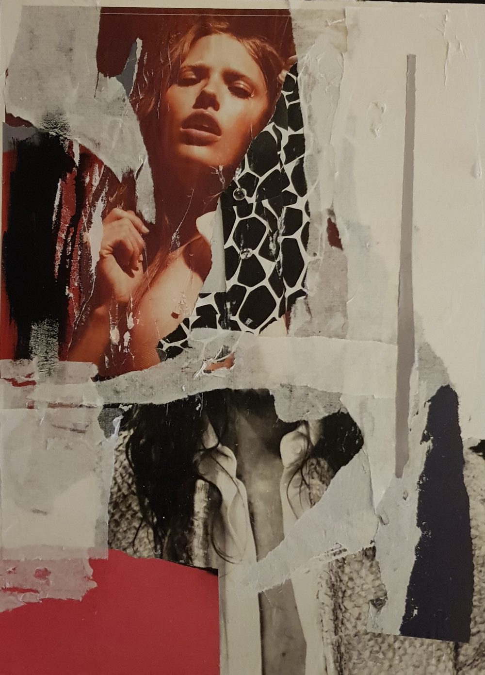 30×20 Decollage on canvas